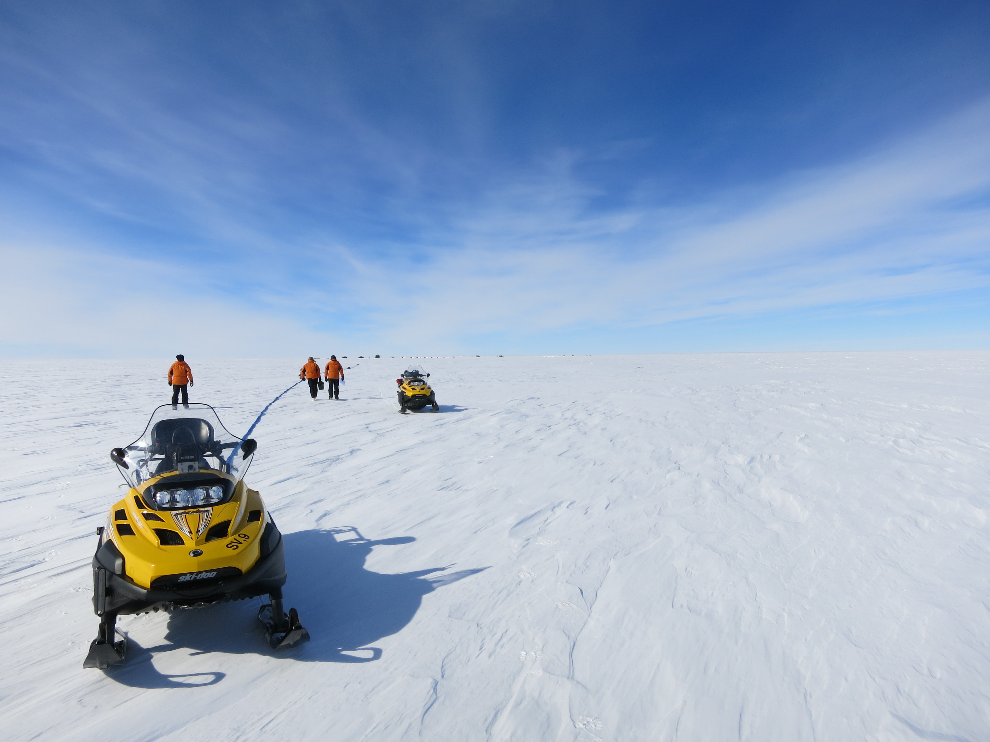 Pine Glacier Large 1